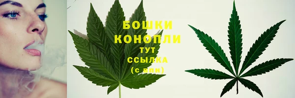 бошки Тобольск