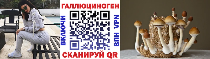 Купить закладки  Суворов  Псилоцибиновые грибы прущие грибы 